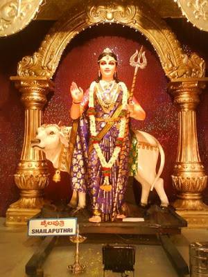 21764918_10159377738905574_6632426285897737934_n