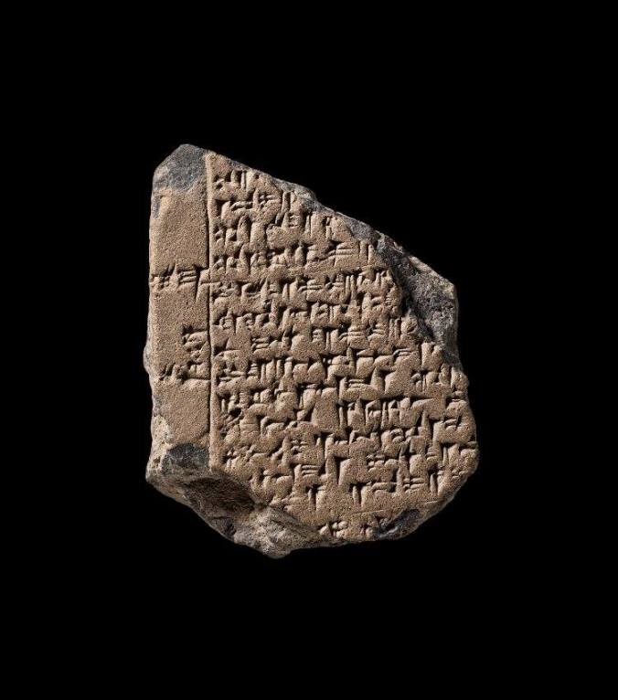 70383053_10162268033965574_3121450345172041728_n (1)