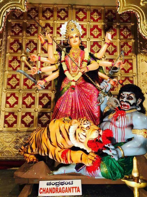 71517073_10162334952285574_7980385446007930880_n